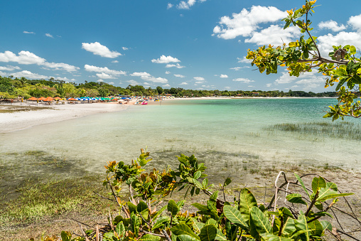 Lagoa De Carcará Azul Clear Water Natal Stock Photo - Download Image Now - Beach, Beauty In Nature, Brazil - iStock Lagoa De Carcará Azul Clear Water Natal Stock Photo - Download Image Now - Beach, Beauty In Nature, Brazil - iStock