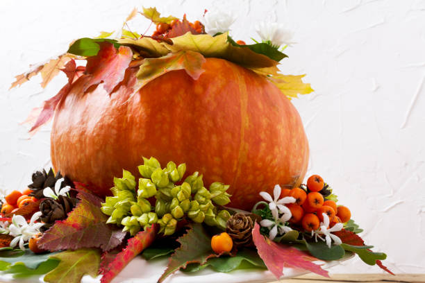 istock Fall decoration with pumpkin and white flowers 847022940