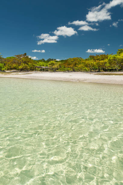 Foto de Lagoa De Carcará Azul Verão De Água Clara e mais fotos de stock de Natal - Brasil - Natal - Brasil, Rio Grande do Norte, América do Sul - iStock Foto de Lagoa De Carcará Azul Verão De Água Clara e mais fotos de stock de Natal - Brasil - Natal - Brasil, Rio Grande do Norte, América do Sul - iStock