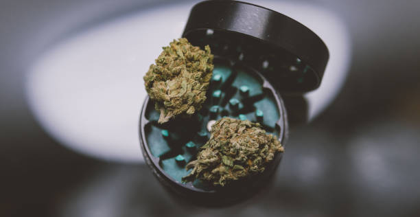 istock marijuana buds close-up. Smoking culture 420 847026810