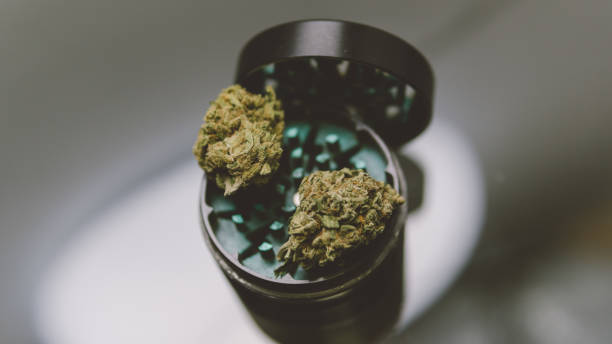istock marijuana buds close-up. Smoking culture 420 847026832