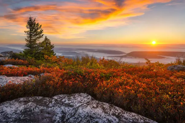 Dawn breaks over the Appalachian Mountains. Warm light spills over this autumn landscape at West Virginia's Dolly Sods.