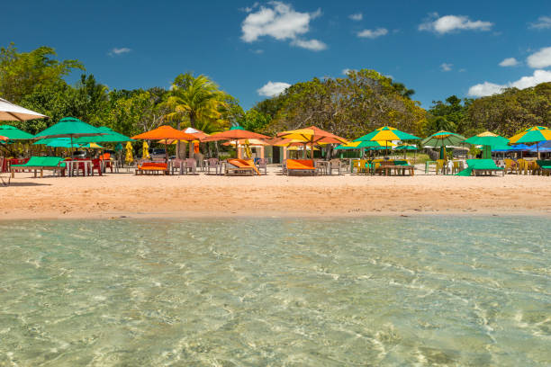 carcará azul lagoon czysty parasol wodny - natal zdjęcia i obrazy z banku zdjęć