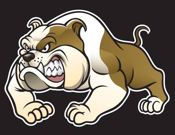 angry bulldog vector of angry bulldog angry dog barking cartoon stock illustrations