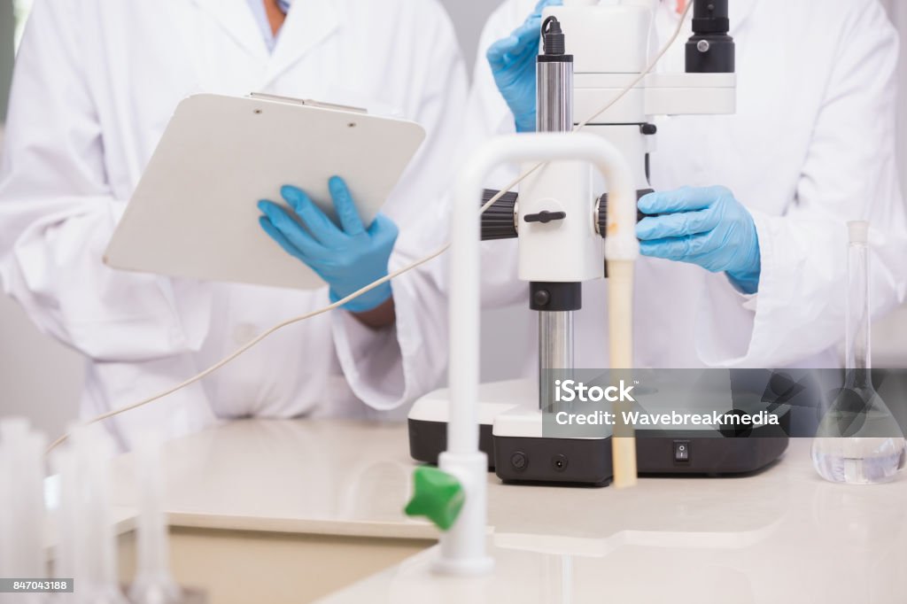 Scientists Comparing Notes Scientists Working With Microscope And Taking Notes Stock Photo ...