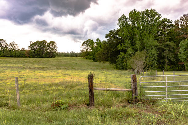 contry ranch entrance on kauai islands, hawaii islands.