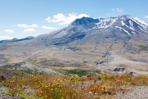 istock Mt. St. Helens with wild flowers in Washington State 847047436