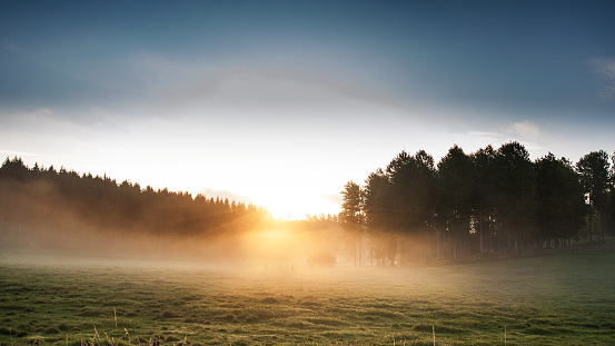 Solen går upp över trädtopparna en tidig höstmorgon i Sverige, Östergötland