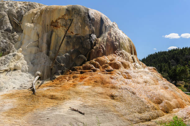 Orange Spring Mound Orange Spring Mound in Mammoth Hot Springs, Yellowstone National Park midway geyser basin photos stock pictures, royalty-free photos & images