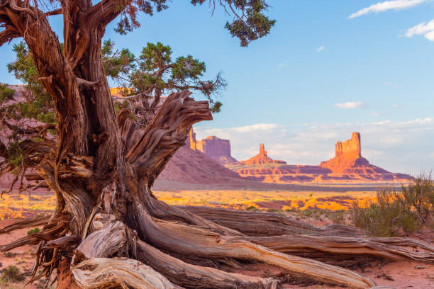 istock Beautiful scenery in Monument Valley, Arizona under warm sunset light 847070214