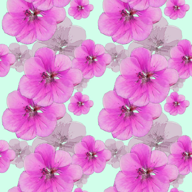 istock Geranium, pelargonium. Seamless pattern texture of flowers. Floral background, photo collage 847072910