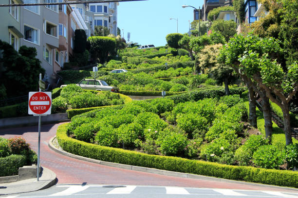 lombard street on russian hill, san francisco - twisted tree california usa imagens e fotografias de stock