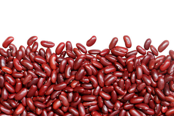 row of dry red kidney beans isolated on white background