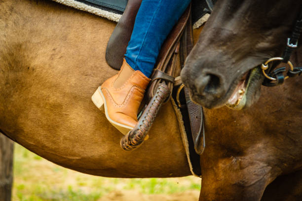istock Woman foot in stirrup on horse saddle 847084986