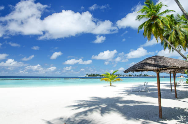 istock Tropical paradise beach of Maldives 847087780