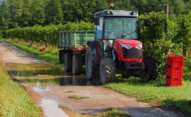A tractor on a muddy country road during the grape harvest in September in Italy
