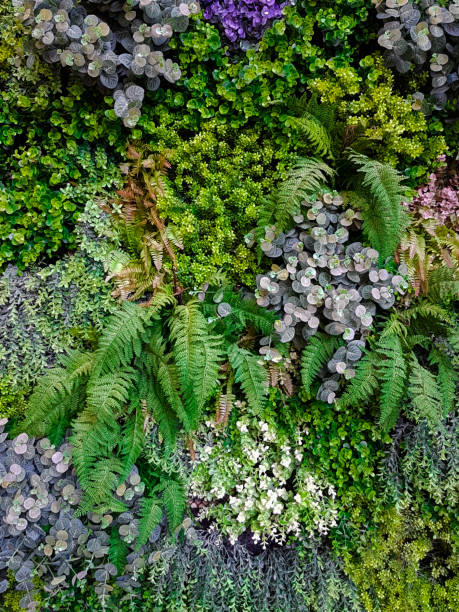 istock Fake plastic tree variety place on multi-level decoration 847092194