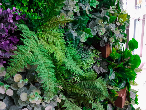 istock Fake plastic tree variety place on multi-level decoration 847092678