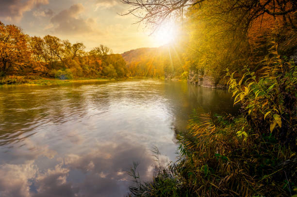 forest river in autumn mountains. lovely grassy shores with yellowed trees and rocky cliff. gorgeous nature autumnal scenery at sunset