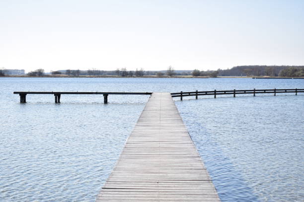 istock stijger veerse meer 847107838