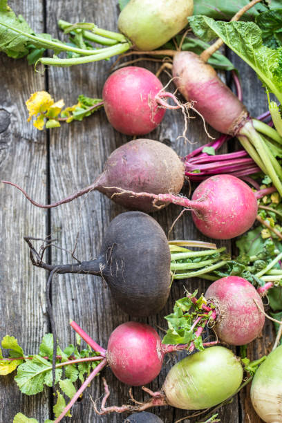 istock root vegetables turnips, radishes, beets on a wooden background 847110198