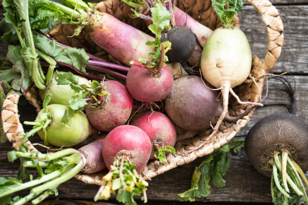 istock root vegetables turnips, radishes, beets on a wooden background 847110366