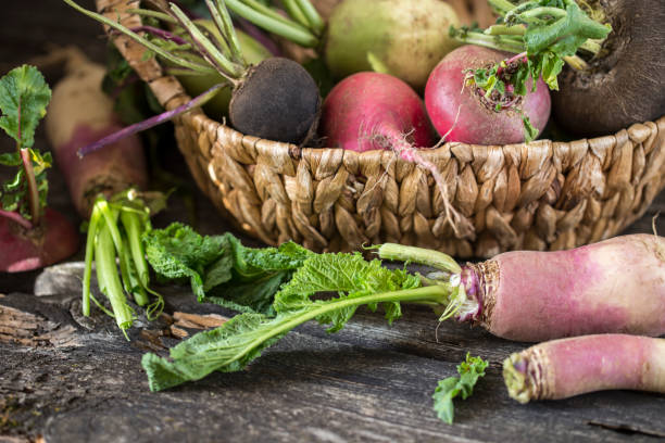 istock root vegetables turnips, radishes, beets on a wooden background 847110900