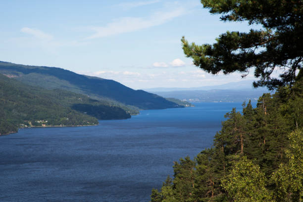 istock Tyrifjorden seen from County Road 285 (Buskerud, Norway) 847115730