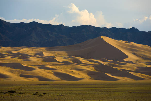 Distant camels seen at the base of the Khongor Els sand dunes with towering mountain background in southern Mongolia