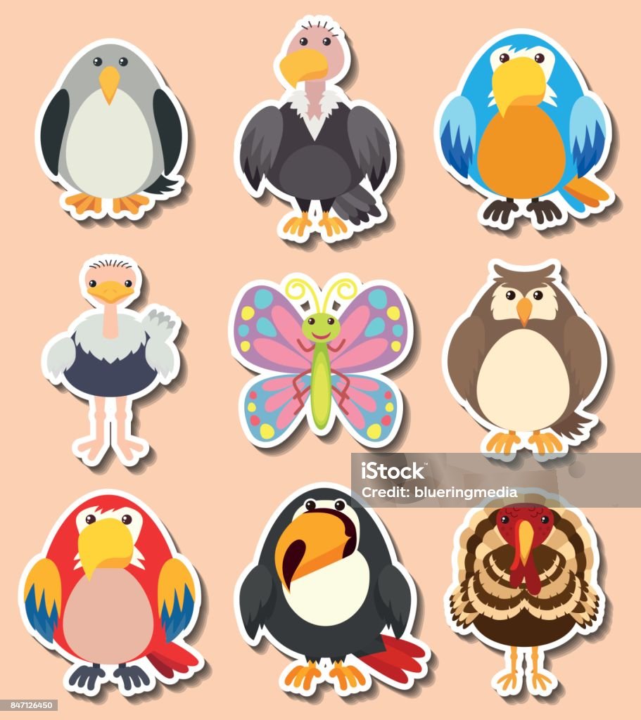 Sticker Design With Different Kinds Of Birds Stock Illustration ...