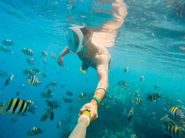 istock man snorkel in shallow water on coral fish 847143952