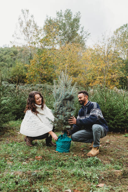istock Young couple choosing a Christmas tree 847153142