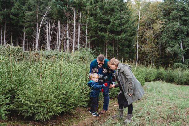 istock Family choosing a Christmas tree together 847153178