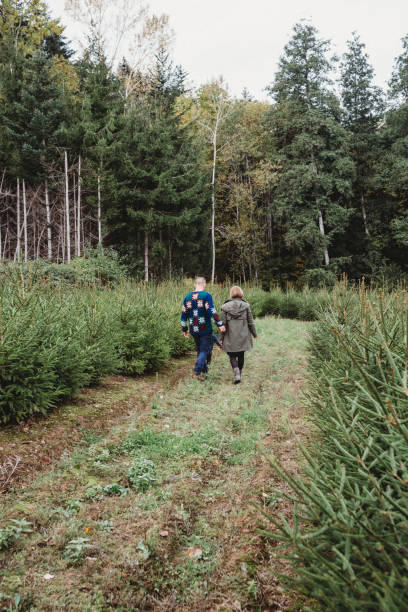 istock Family choosing a Christmas tree together 847153182