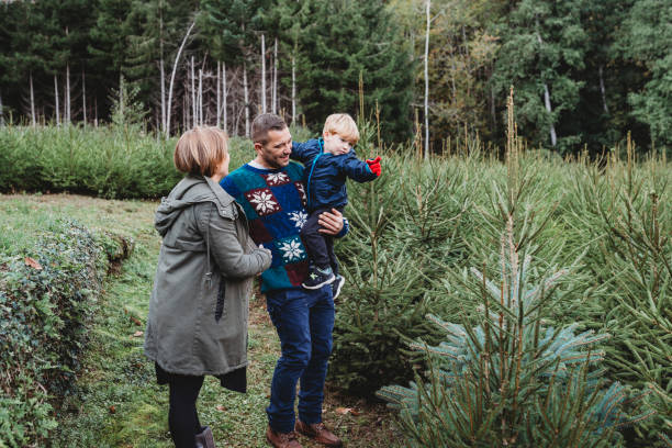 istock Family choosing a Christmas tree together 847153206