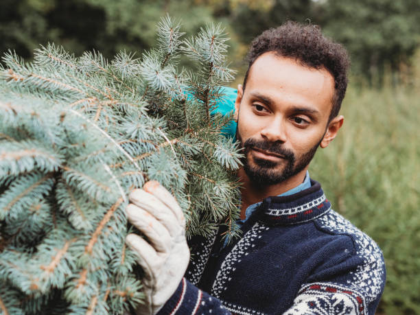 istock Young adult man choosing a Christmas tree 847153310