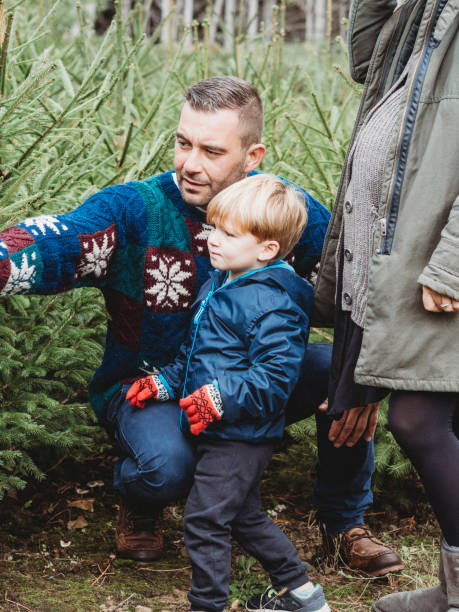 istock Family choosing a Christmas tree together 847153320