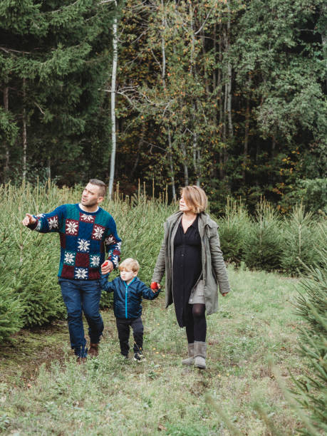 istock Family choosing a Christmas tree together 847153338