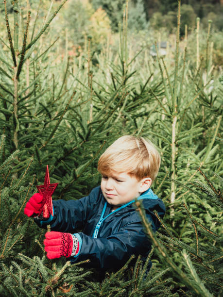 istock Cute child decorating a Christmas tree outdoor 847153380
