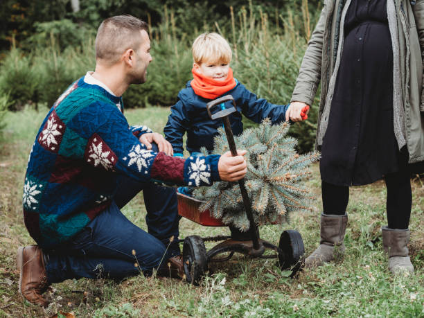 istock Family choosing a Christmas tree together 847153388