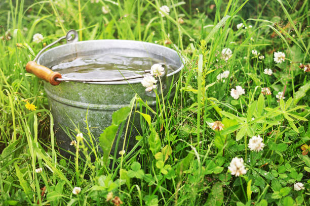 istock Bucket with rain water outdoors 847164868