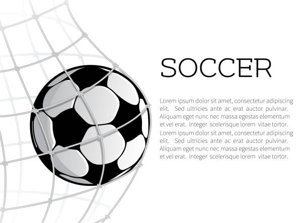ilustrações de stock, clip art, desenhos animados e ícones de soccer ball in net or goal design - soccer stadium fotografia de stock