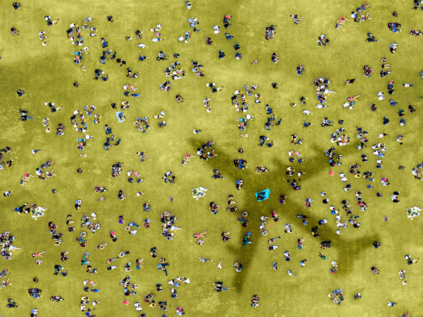 istock People sunbathing in Central Park 847168368