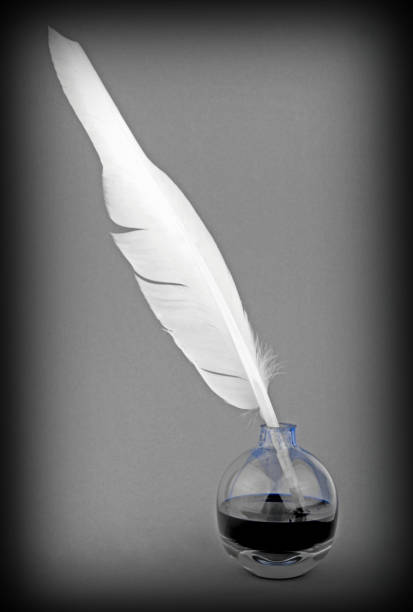 istock Quill pen in a ink bottle on gray background. 847169182