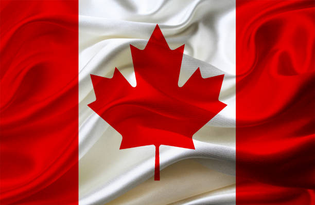 istock Canadian waving flag 847172816