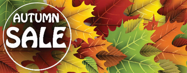 istock Autumn sale banner with colorful leaves. 847175928
