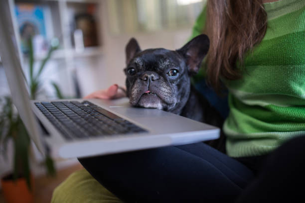 istock Woman and dog 847192194