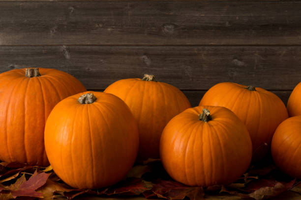 istock Group of Pumpkins on Dried Leaves with Copy Space 847198562