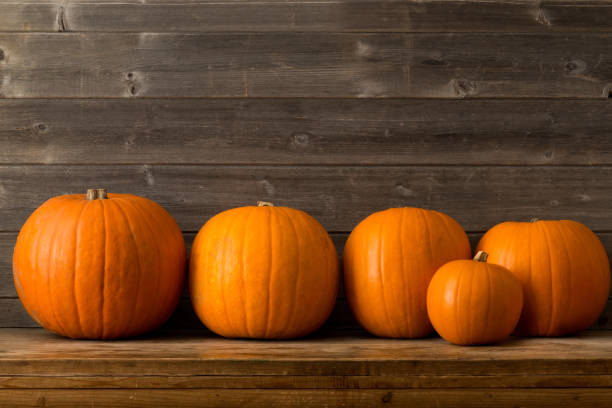 istock Pumpkins of Different Sizes on a Wooden Shelf 847198578