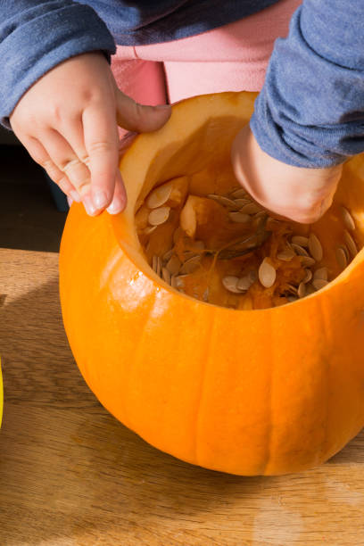 Scooping Seeds and Pulp from a Pumpkin Child's hand inside a pumpkin comb over stock pictures, royalty-free photos & images